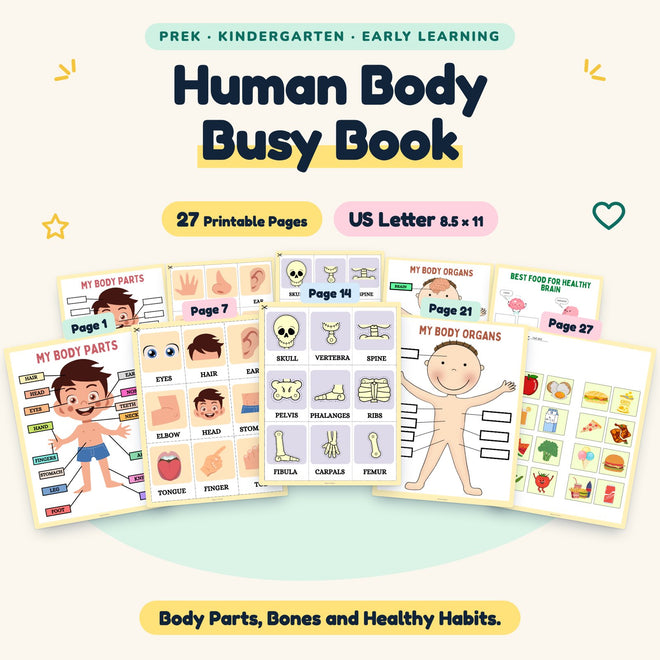 Human Body Busy Book — cover